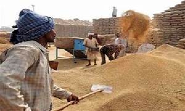 मुख्यमंत्री विष्णुदेव साय ने किसानों के हित में लिया बड़ा फैसला, ब 4 फरवरी तक होगी समर्थन मूल्य पर धान खरीदी